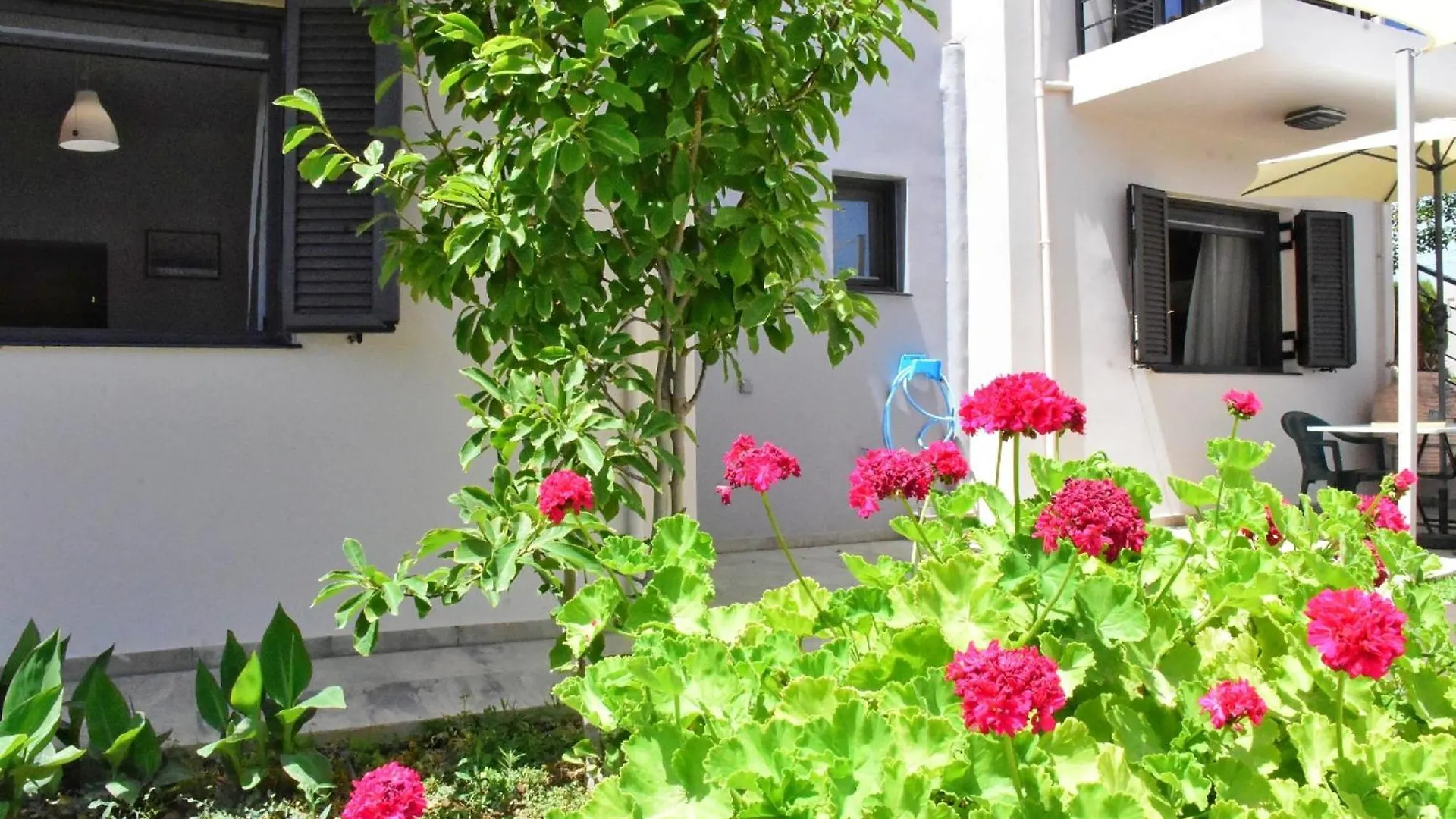 Casa Luminosa Guesthouse Lixouri Apartmán